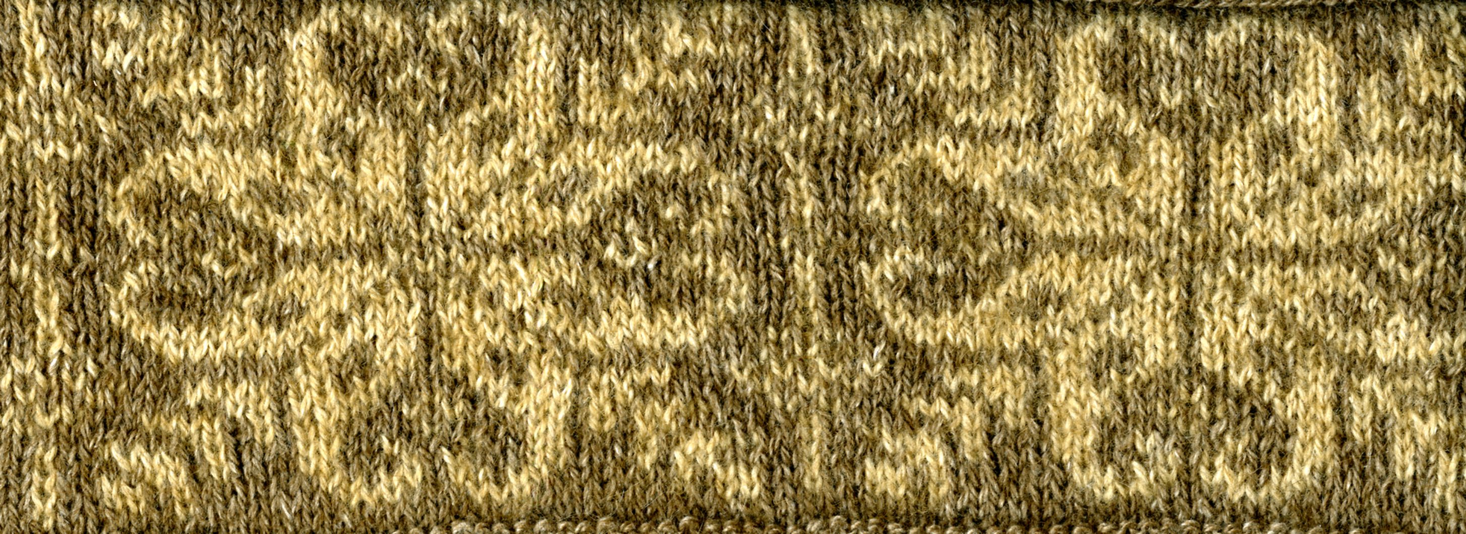 Potlatch Headband (click to enlarge)